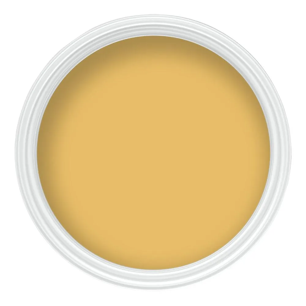 Berger Walls & Ceilings Silk Emulsion Paint | Mustard Pot