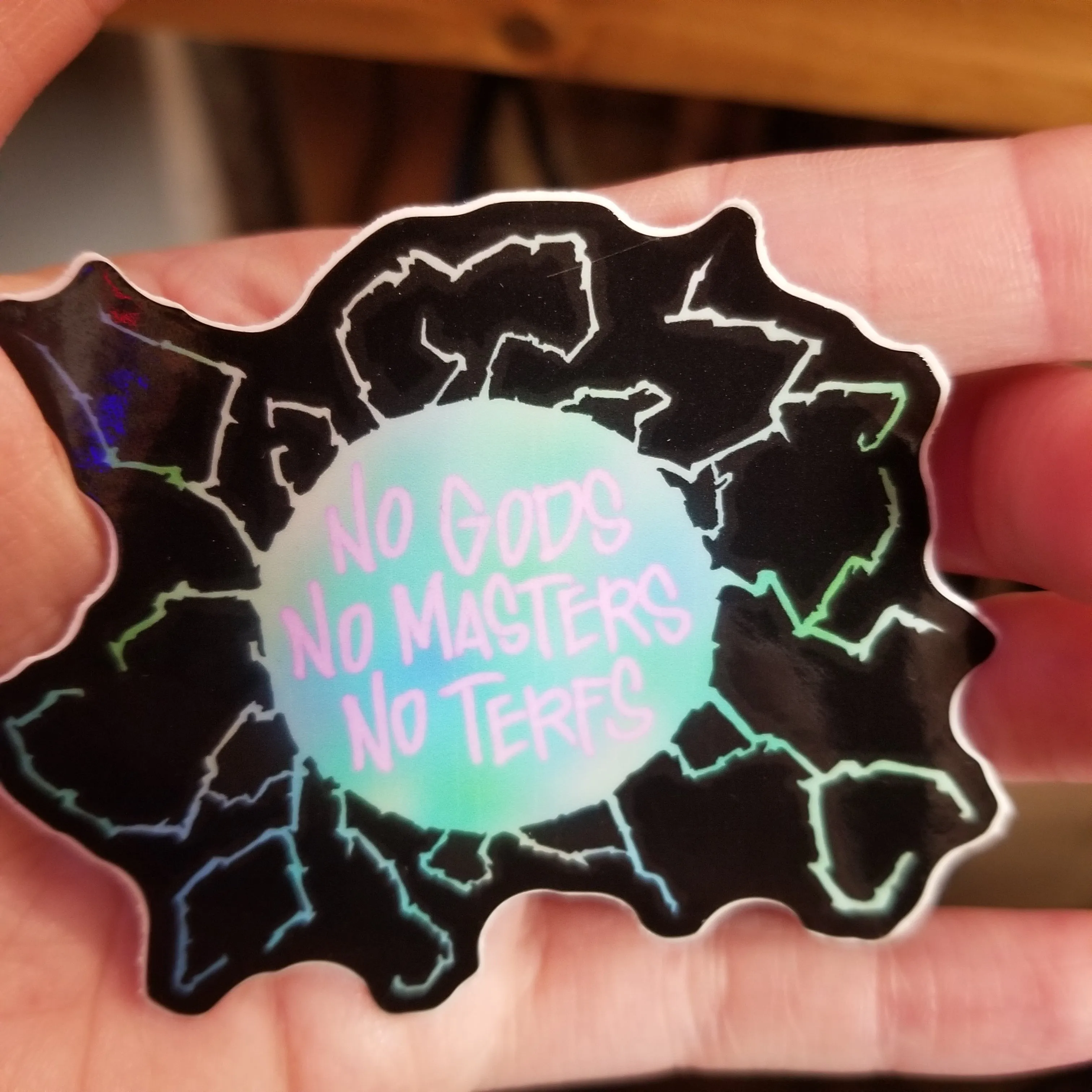 No Gods No Masters No Terfs STICKER