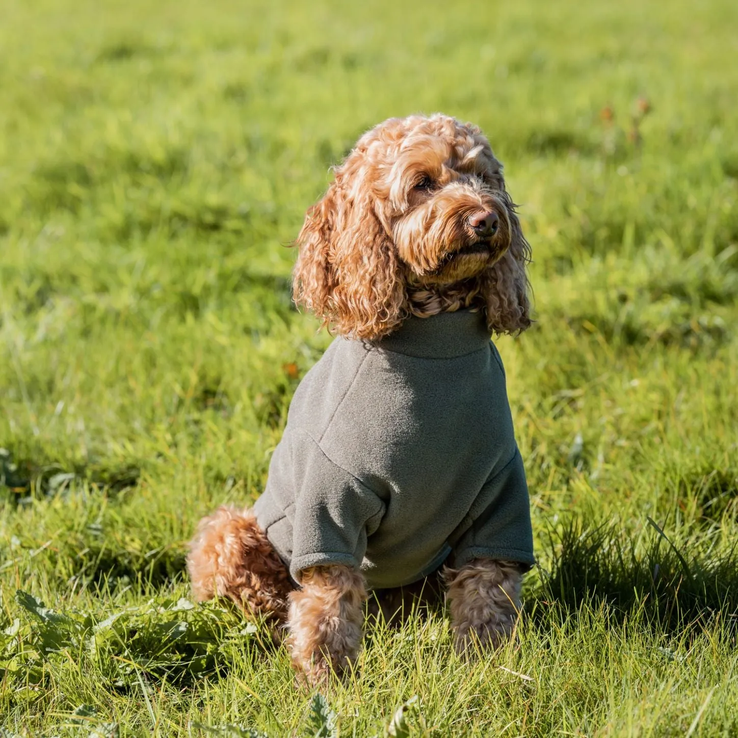 Stix Waterproof Fleece Coats for Greyhounds